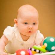 Learning to crawl